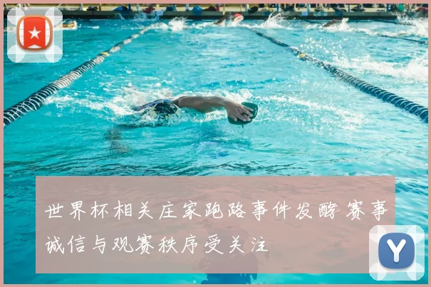 世界杯相关庄家跑路事件发酵 赛事诚信与观赛秩序受关注
