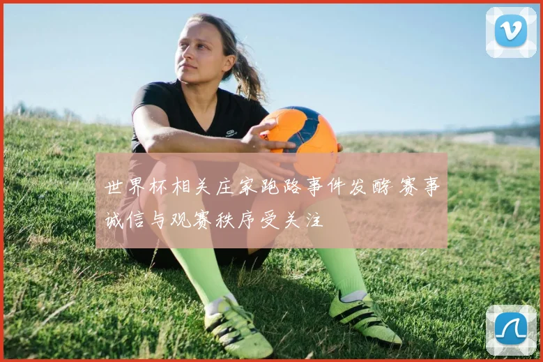 世界杯相关庄家跑路事件发酵 赛事诚信与观赛秩序受关注