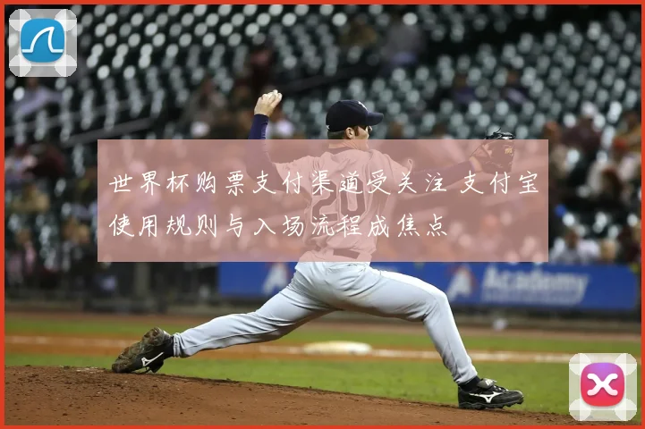 世界杯购票支付渠道受关注 支付宝使用规则与入场流程成焦点