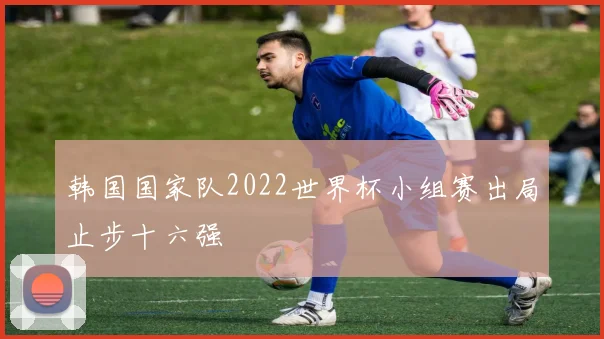 韩国国家队2022世界杯小组赛出局止步十六强