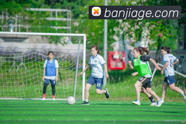 开云手机入口APP 高清赛事图